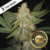 T.H. Seeds 710 Limited Pack Hazanana