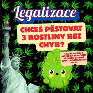 Nová éra pěstování v Česku začíná právě DNES! 🇨🇿🌿 Zákon se změnil a pěstování konopí pro vlastní potřebu má nyní jasnější...