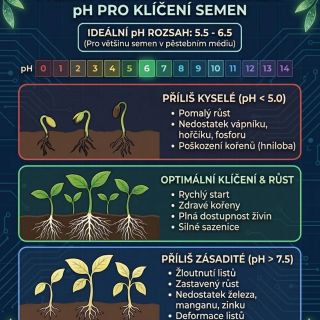 🌱 Tajemství silných sazenic? Není to jen o světle a vodě, ale hlavně o správném pH! 💧