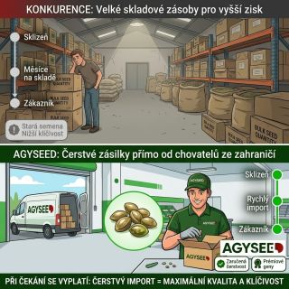 🎯 Raději chvíli počkat, nebo riskovat staré zásoby? Všimli jste si, jak funguje většina e-shopů se semínky konopí? Nakoupí...