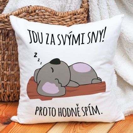 Polštář Jdu za svými sny! Hodně spím.