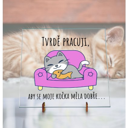 Dekorační Skleněná deska - Tvrdě pracuji. Barevná kočka