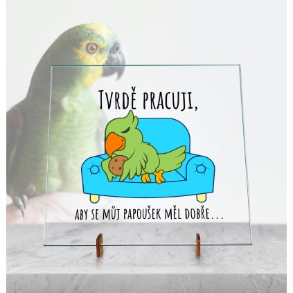 Dekorační Skleněná deska - Tvrdě pracuji. Barevný papoušek