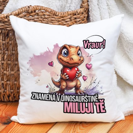 Polštář VRAUR!