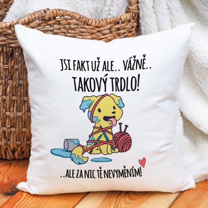 Polštář Už ale.. takový trdlo!
