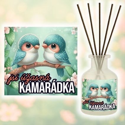 Difuzér Jsi úžasná kamarádka