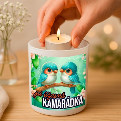 Svícen Jsi úžasná kamarádka