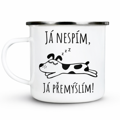 P36 JaNespimJaPremyslim