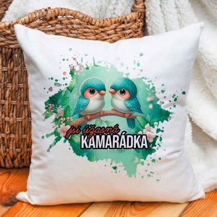 Polštář Úžasná kamarádka