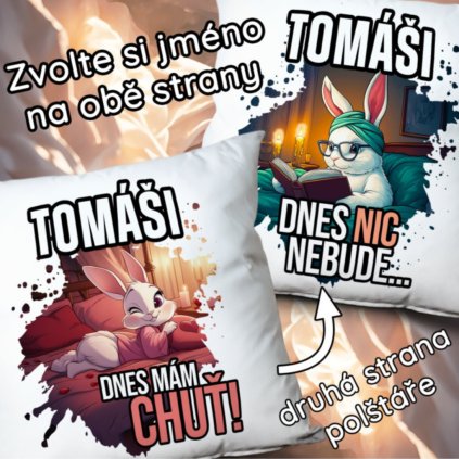 Polštář Dnes mám chuť - Dnes nic nebude se jménem