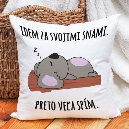 Vankúš Idem za svojimi snami.