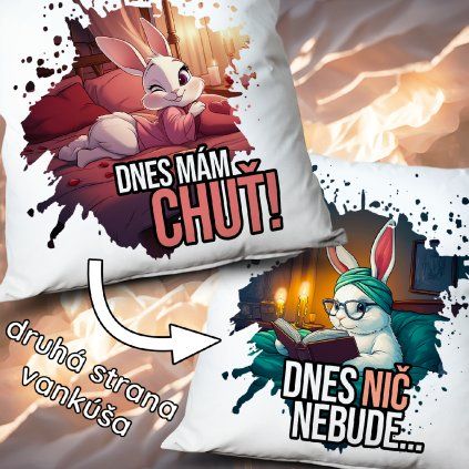 Vankúš Dnes mám chuť - Dnes nič nebude