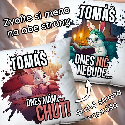 Vankúš Dnes mám chuť - Dnes nič nebude s menom