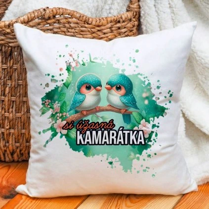 Vankúš Úžasná kamarátka