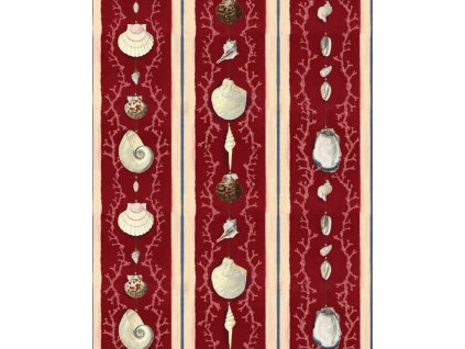 seashells ii 2000x2500 wp20573