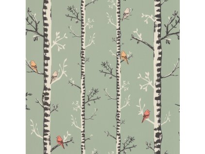 Caselio escalader 103567270