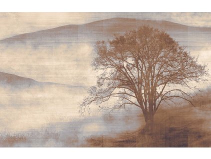 8b9b7004b21599b4f1623cb5e53c0305