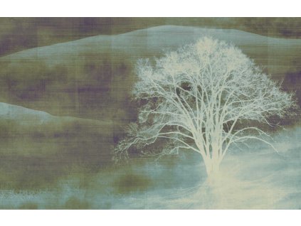 02078acdc6f69cca174a64253eca3403