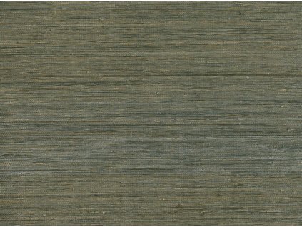 6eb38362a6a677c854a3c4c8576a5826