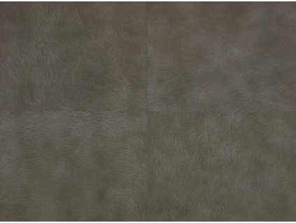 265ec7b29fe07cf4f14dd972c198742c