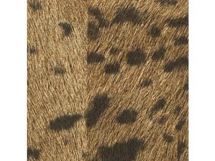 mural sauvages panthere memoires vp 653 07 e6f7519e4010fcf13fc4b33896