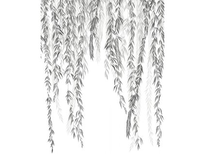 MURMURES D'AUTOMNE S NOIR FUSAIN 200x250