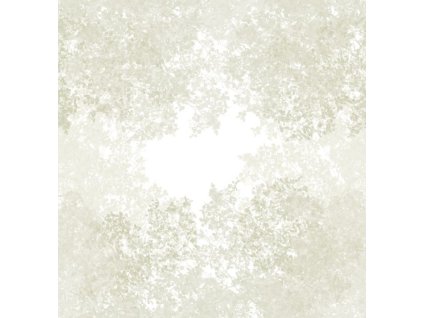 CHEMIN DES CIMES L VERT LICHEN