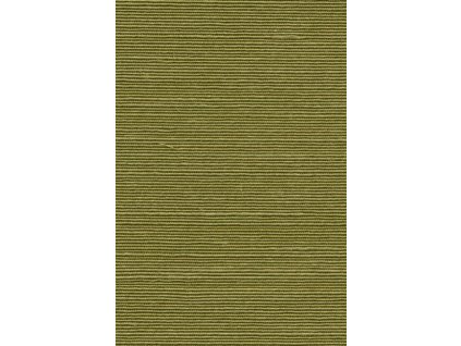Agave – Olive – 90531A