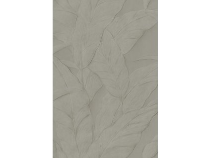 Monsoon20 Musa 75000B Packshot Web LR thumb two thirds