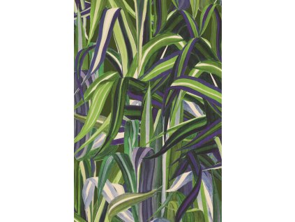 Expedition Java 72012 P thumb two thirds