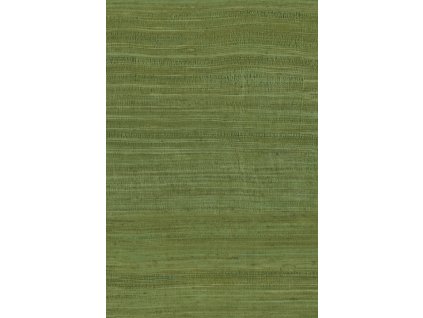 Expedition Tasar 72020 P thumb two thirds