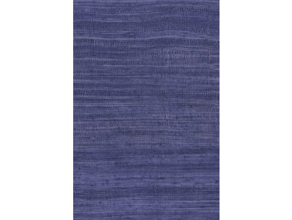 Expedition Tasar 72038 P thumb two thirds