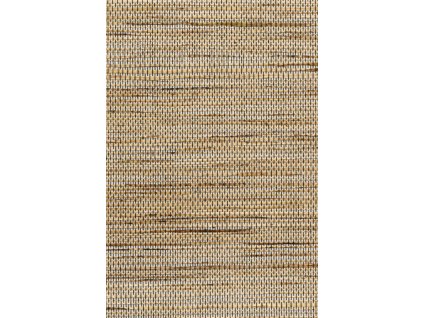 Osmanthus Sambe 54550 Packshot Web HR thumb two thirds