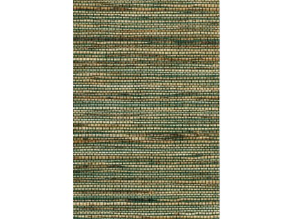 Osmanthus Sambe 54551 Packshot Web HR thumb two thirds