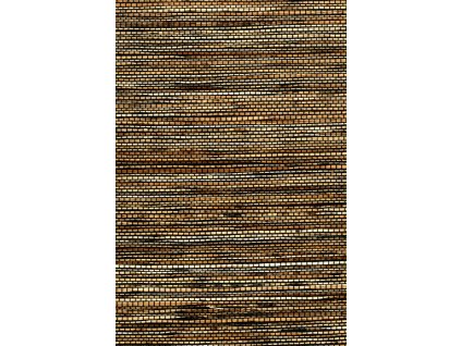 Osmanthus Sambe 54552 Packshot Web HR thumb two thirds