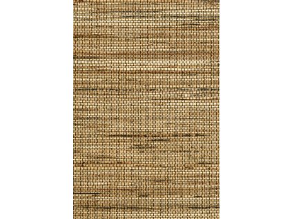 Osmanthus Sambe 54554 Packshot Web HR thumb two thirds