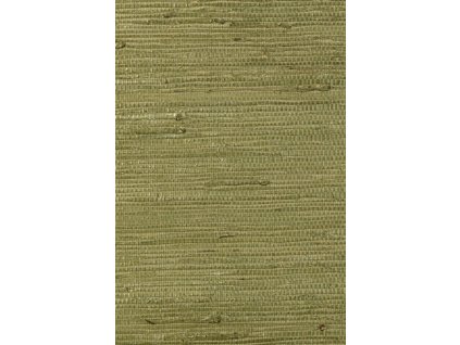 Osmanthus Kudzu 54530 Packshot Web LR thumb two thirds