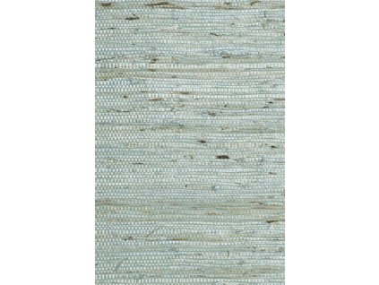 Osmanthus Kudzu 54531 Packshot Web LR thumb two thirds