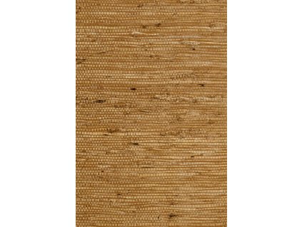 Osmanthus Kudzu 54532 Packshot Web LR thumb two thirds