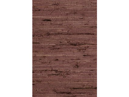 Osmanthus Kudzu 54535 Packshot Web LR thumb two thirds