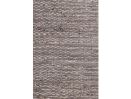 Osmanthus Kudzu 54537 Packshot Web LR thumb two thirds