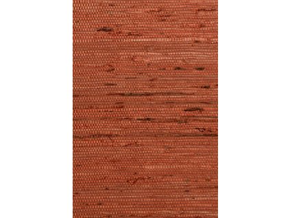 Osmanthus Kudzu 54538 Packshot Web LR thumb two thirds