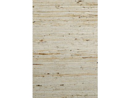 Osmanthus Kudzu 54540 Packshot Web LR thumb two thirds