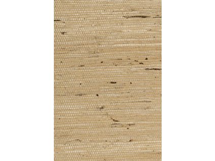 Osmanthus Kudzu 54541 Packshot Web LR thumb two thirds