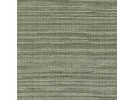 cmo wsi 01 88 sisal mural 2