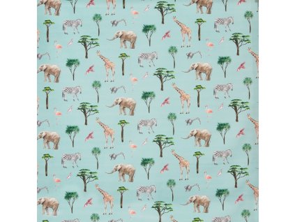 assets collections 8714 on safari 8714 546 on safari rainbow