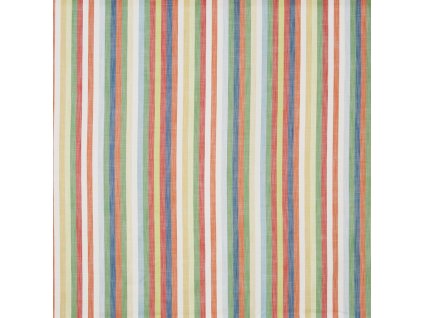 assets collections 3925 skipping 3925 683 skipping jungle