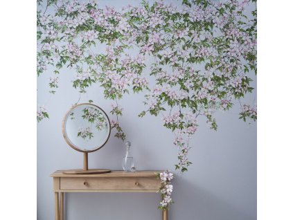 Clematis Blue Square SianZeng 720x720 063c3771 fdc4 4b22 8472 c08b5d4777b4