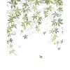 VIGNE EN FLEUR S VERT OLIVE 200x250