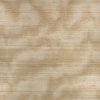 ZW143 01 caractre wallcovering spun gold 01